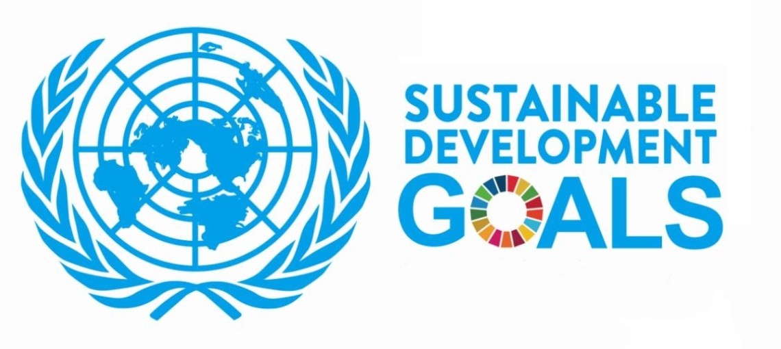 About sustainable development goals (SDGs)